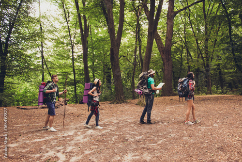 Trekking, camping and wild life concept. Side profile full lengs photo of four best friends, hiking in the woods near canyon, the guy is holding the map, all are excited and anxious © deagreez