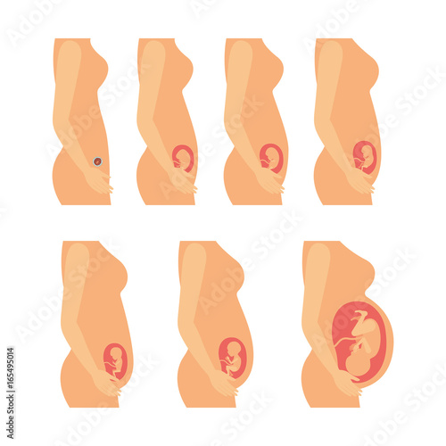 white background with color and realistic silhouette set pregnancy process in female body vector illustration