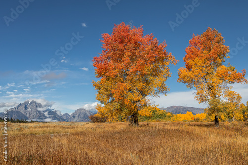 Scenic Teton Landscape in Fall