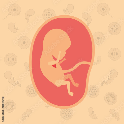 color background pattern pregnancy icons with fetus human growth in placenta a few weeks vector illustration