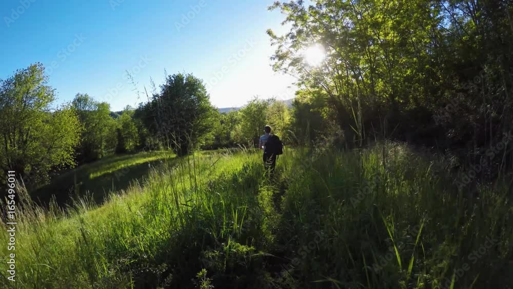 following backpacker hiker man walking in wild woods. hiking or trekking adventure in outdoors green nature forest with filtering sun light in sunny summer day.4k video following backpacker hiker man walking in wild woods. hiking or trekking adventure in outdoors green nature forest with filtering sun light in sunny summer day.4k video