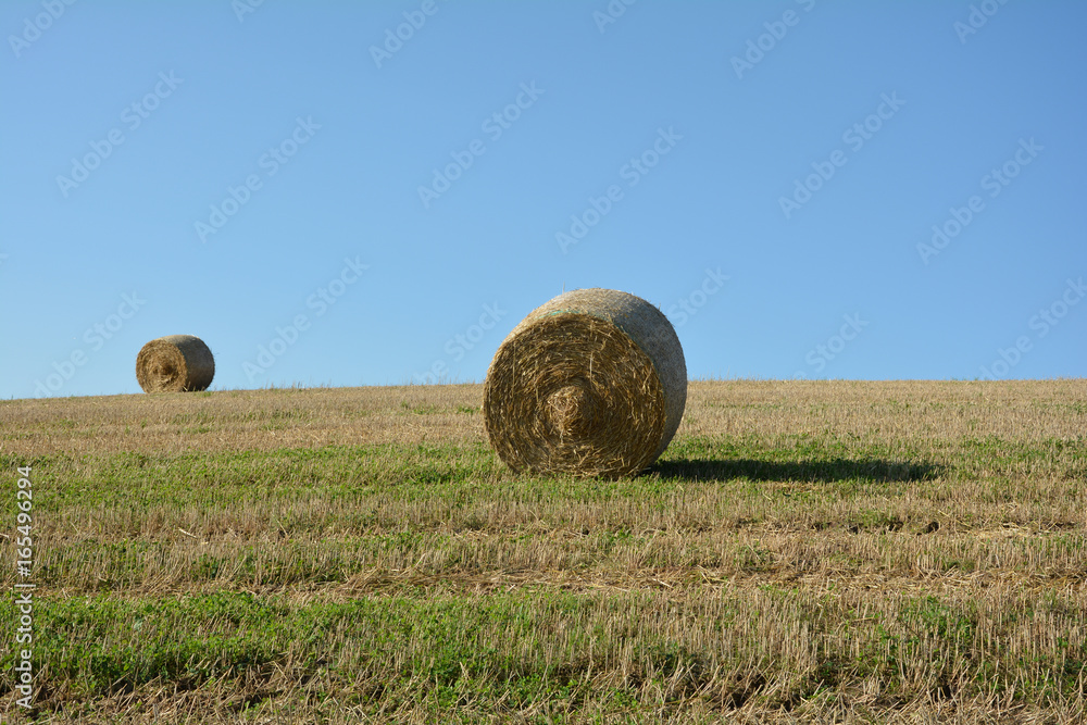 Zwei Strohballen auf abgeerntetem Feld mit viel blauem Himmel Zwei Strohballen auf abgeerntetem Feld mit viel blauem Himmel