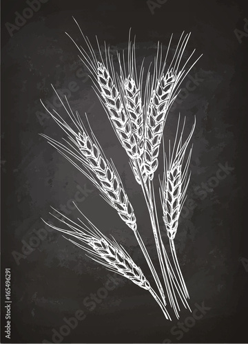 Chalk sketch of ears of wheat