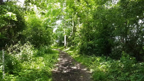 Footage walking down a woodland pathway on a sunny day in Mold, Flintshire, North Wales. photo