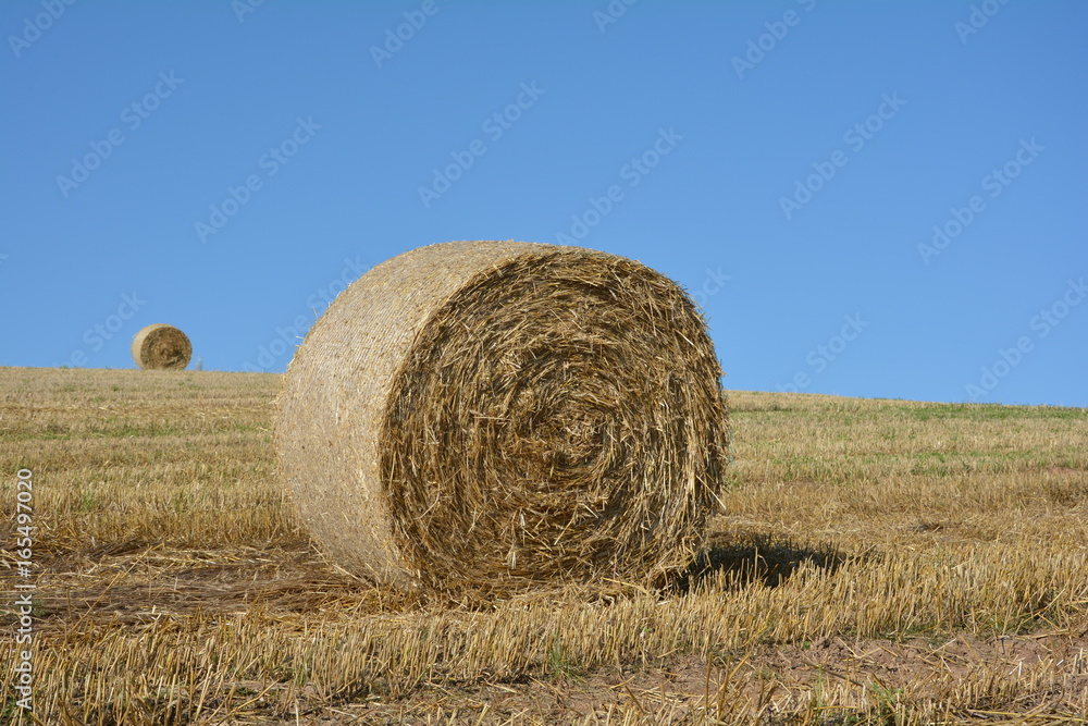 Heuball vorne und ein Strohball am Horizont auf Stoppelfeld