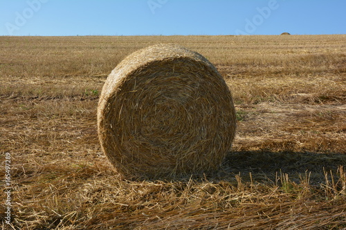 Ein Strohballen von vorne auf Stoppelfeld photo