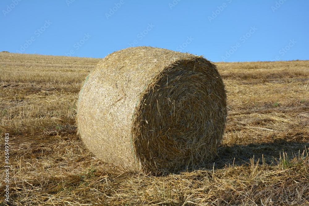 Strohballen auf abgeerntetem Feld mit blauem Himmel