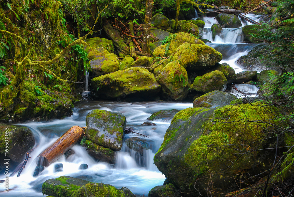 Mossy Rocks Mossy Rocks