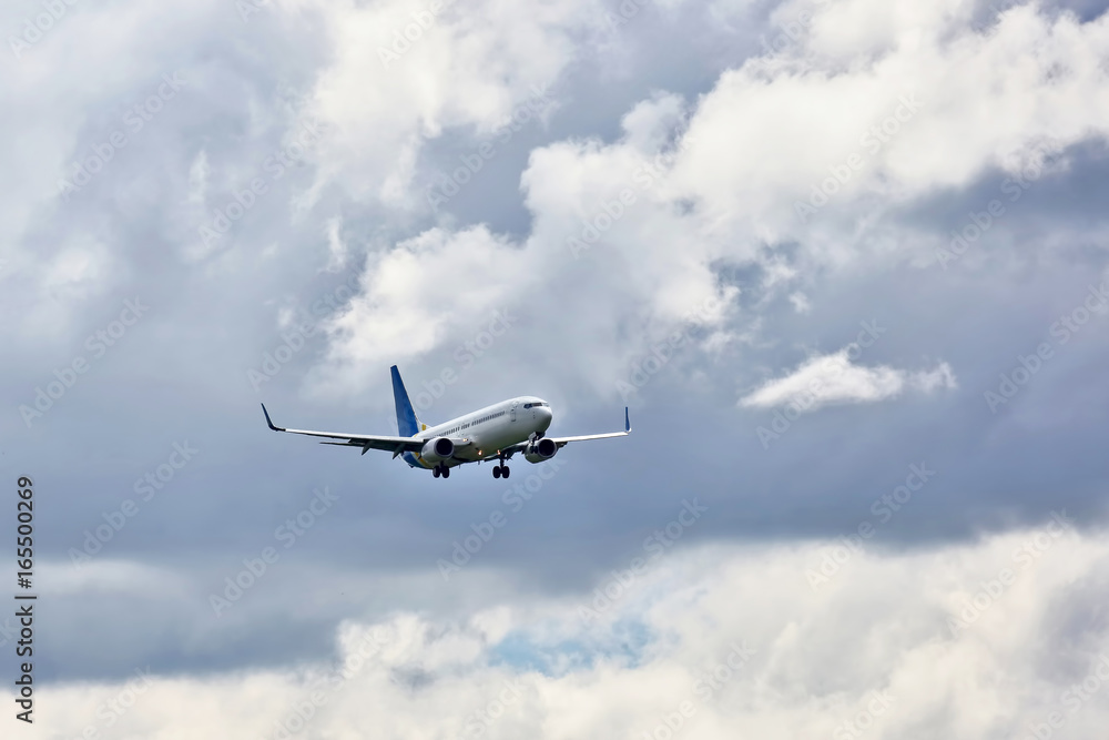 Obraz premium passenger jet flies in for a landing