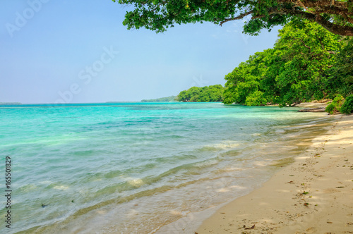 Fototapeta Naklejka Na Ścianę i Meble -  One of the many beautiful secluded sandy beaches around Saraoutou - Espiritu Santo, Vanuatu