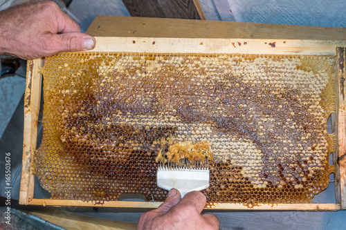 Honeycomb will open unwaxing fork beekeeper uncapped for harvest golden delicious honey. Close up