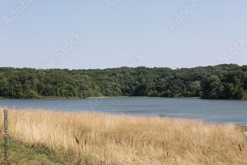 Lake Wapello State Park in Iowa, two shores of the lake with golden grasses on one shore and green trees with flowers and grass on the other shore