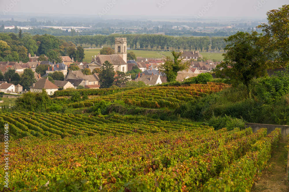 Pommard from the vineyards, Burgundy, France