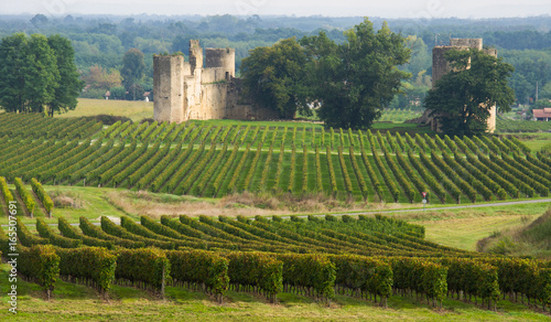 Château de Budos, Bordeaux, France