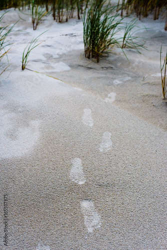 Footprints on sand dunes. Maghara strand. County Donegal, Ireland photo