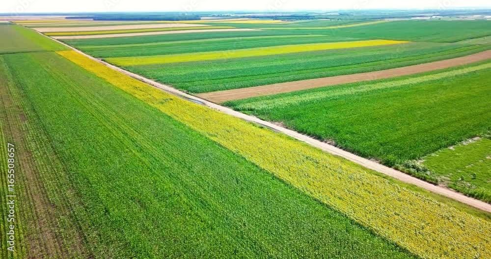 Aerial Drone View Of Green Agricultural Cultivated Fields Aerial Drone View Of Green Agricultural Cultivated Fields