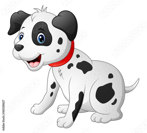 Cute dalmatic dog