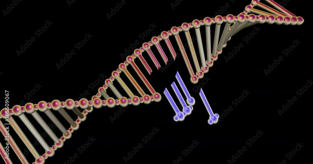 DNA molecule structure repair, editing and manipulation. 3d animation