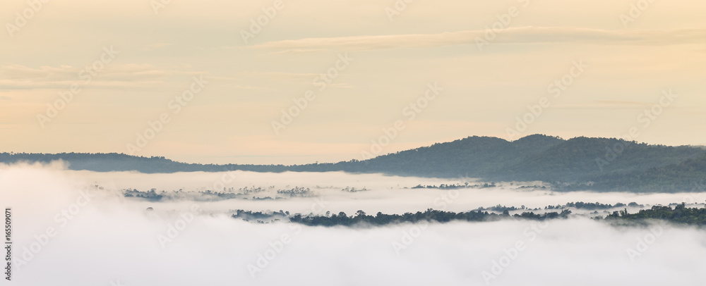 Obraz premium mountain in mist