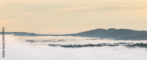 mountain in mist