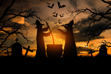 Witch in the halloween night, Concept halloween.