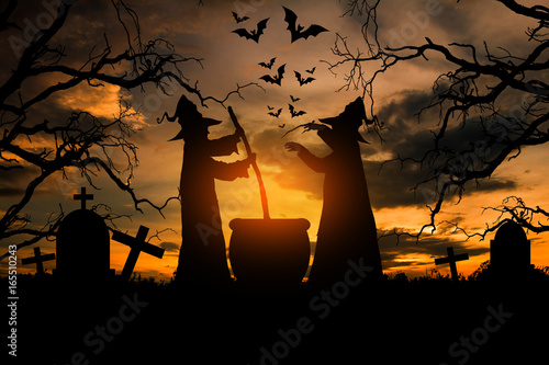 Witch in the halloween night, Concept halloween. photo