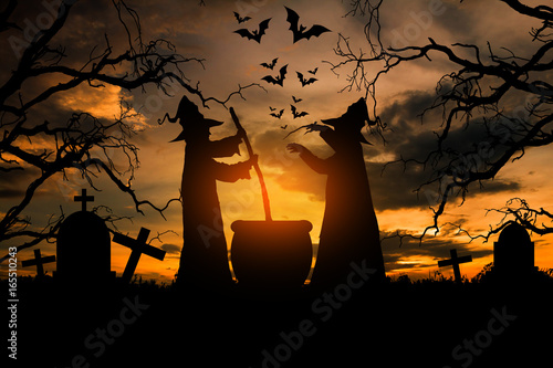 Fotografía Witch in the halloween night, Concept halloween.