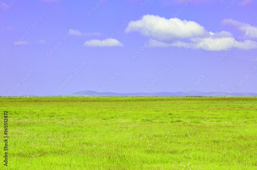 Blue sky, white clouds and grassland Blue sky, white clouds and grassland