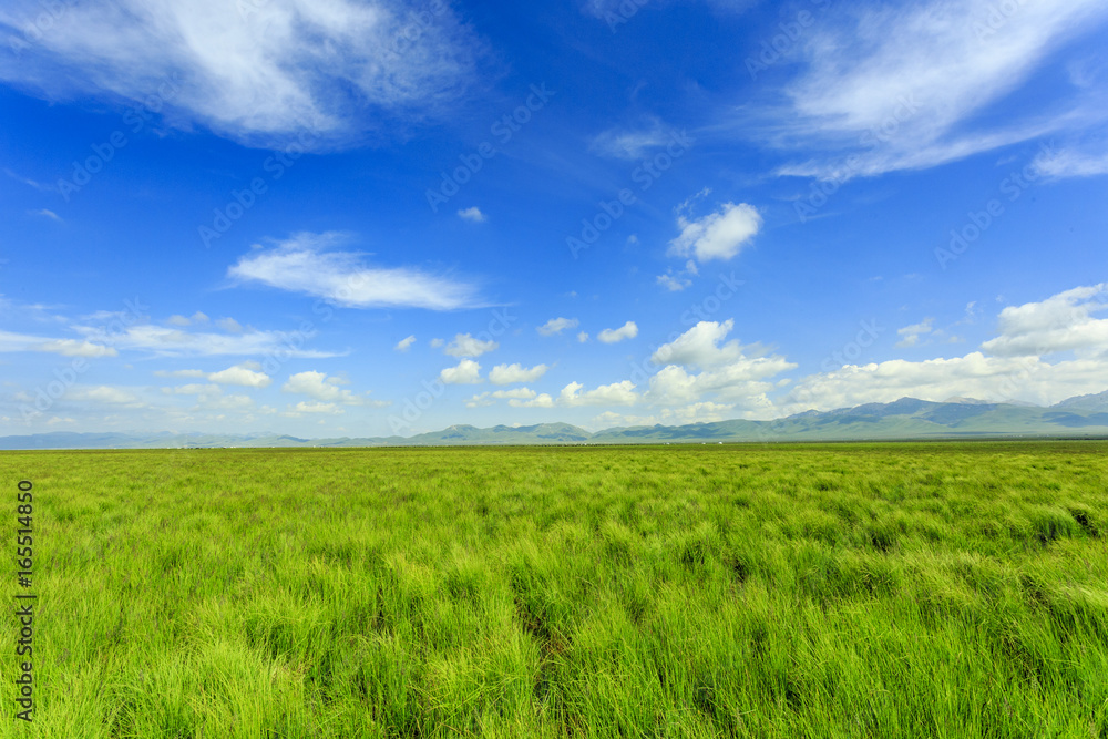 Blue sky, white clouds and grassland