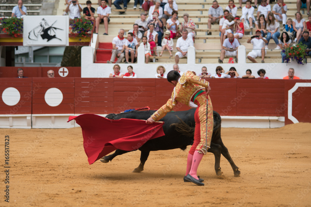 corrida novillada