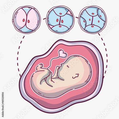 baby with umbilical