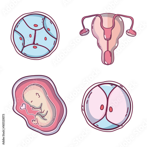 baby with umbilical