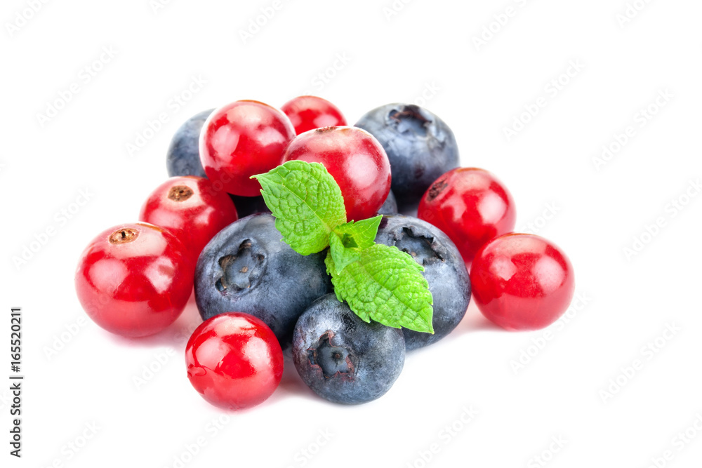 a bunch of fresh berries on a white background. Ripe Sweet Blueberry and red Currant.