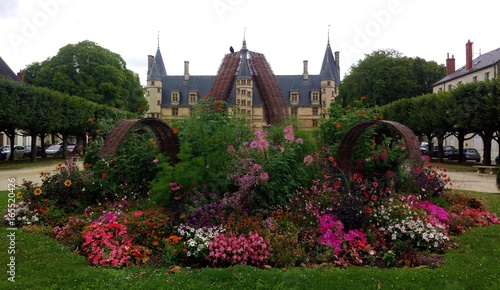 Plan de Fleurs de Jardin