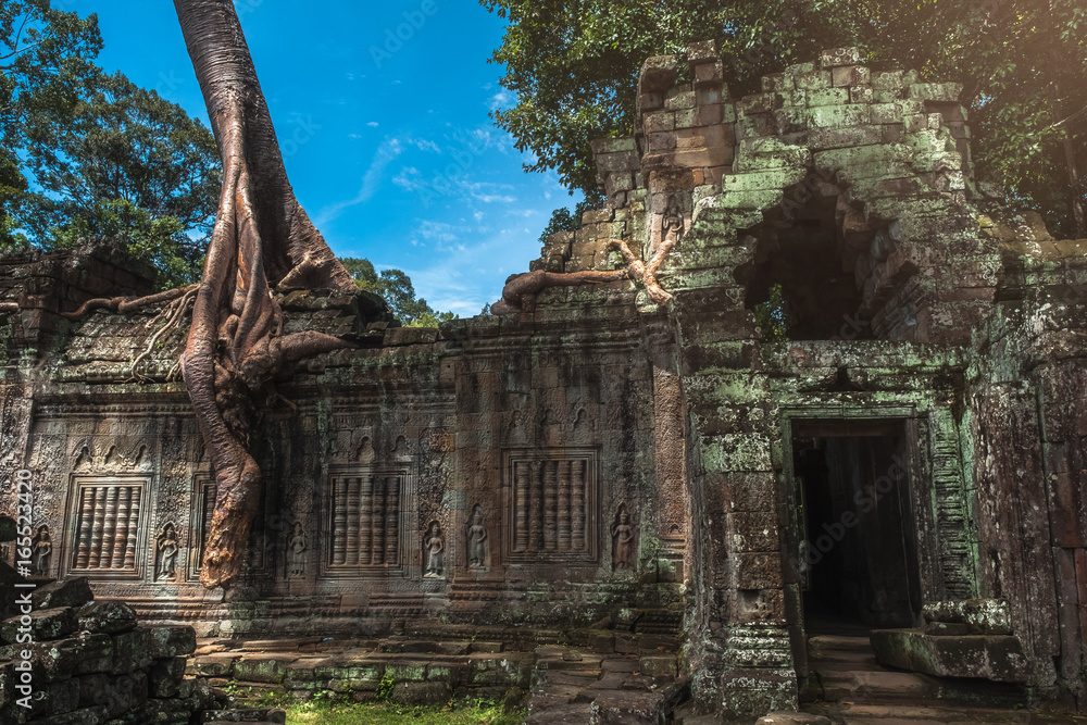 Fototapeta premium Preah Khan Temple, Angkor, Siem Reap, Cambodia.