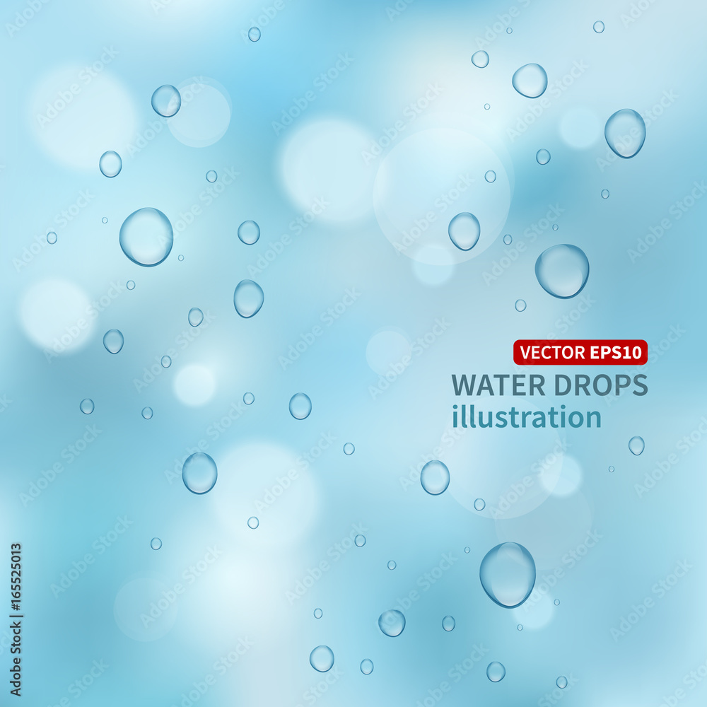 Water drops vector background.