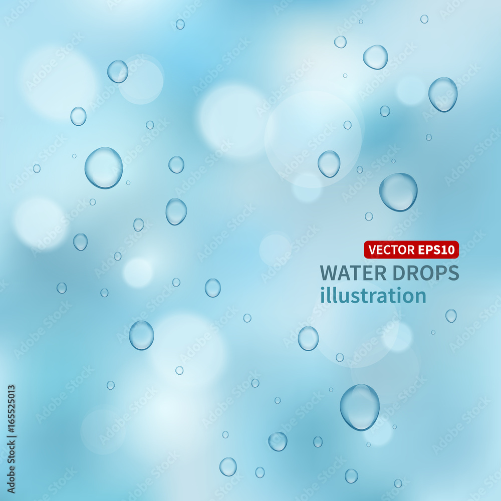 Water drops vector background. Water drops vector background.