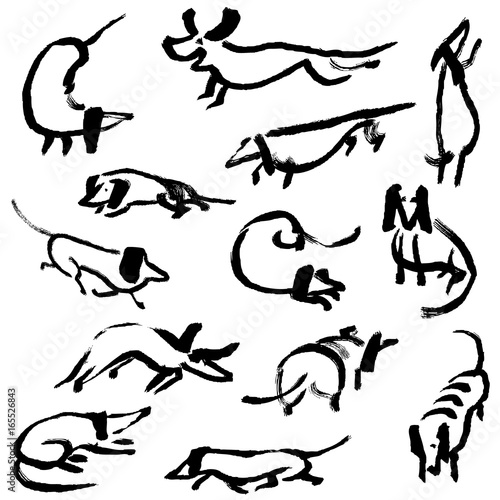 Hand drawn doodle dachshund dogs. Illustration set
