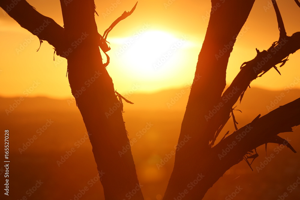 The beautiful colours of sunset as seen from Oxley Lookout at Tamworth in NSW Australia.