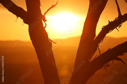 Obraz na płótnie The beautiful colours of sunset as seen from Oxley Lookout at Tamworth in NSW Australia. w salonie