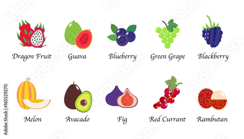Organic nature health fruit isolated vector collection set