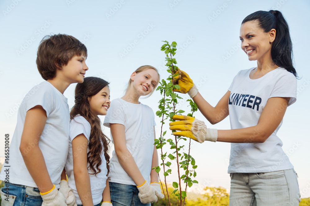 Fototapeta premium Delighted woman showing young plant