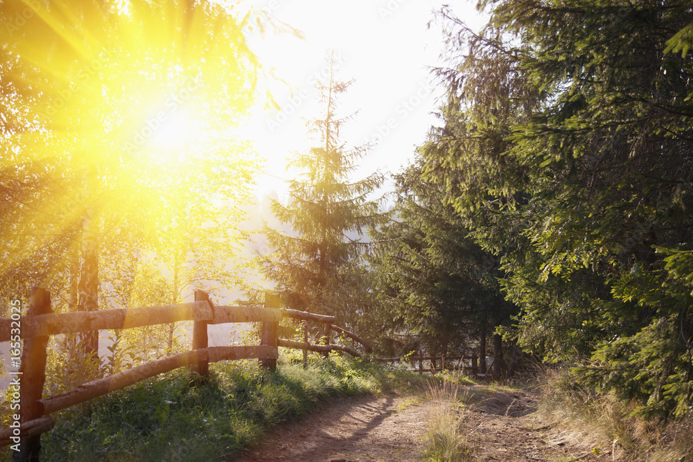 Fantastic view of mountain broken road in the sunlight. Sun beams through tree. Dramatic colorful scenery. Carpathian Mountains. Europe. Beauty world. Fantastic view of mountain broken road in the sunlight. Sun beams through tree. Dramatic colorful scenery. Carpathian Mountains. Europe. Beauty world.