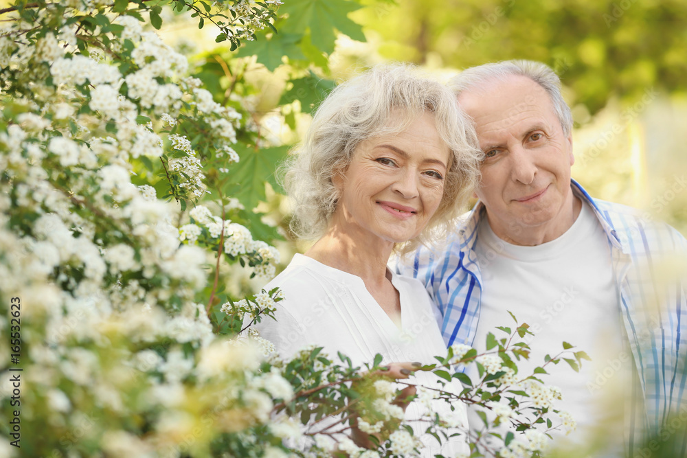Happy senior couple near blossom bushes in spring park Happy senior couple near blossom bushes in spring park