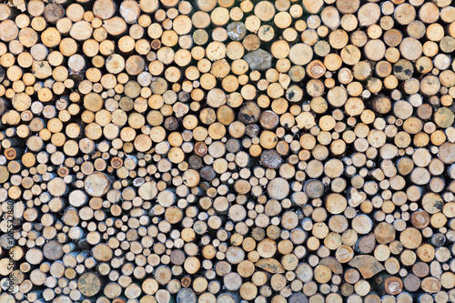 cut firewood closeup
