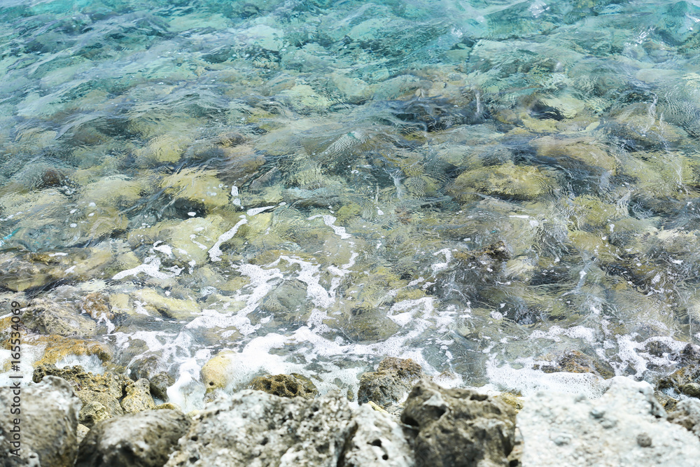 Obraz premium View of sea shore in summer day
