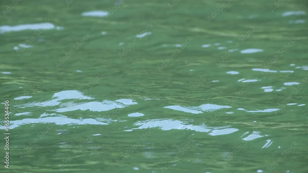 A smallmouthbass takes a lure on the surface of water A smallmouthbass takes a lure on the surface of water