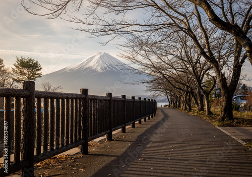 Mt.Fuji at Lake Kawaguchiko japan. autumn season in japan. Maple japan and mount fuji on blue sky.