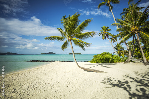 Fototapeta Naklejka Na Ścianę i Meble -  paysage de plage  tropicale, tahiti polynésie