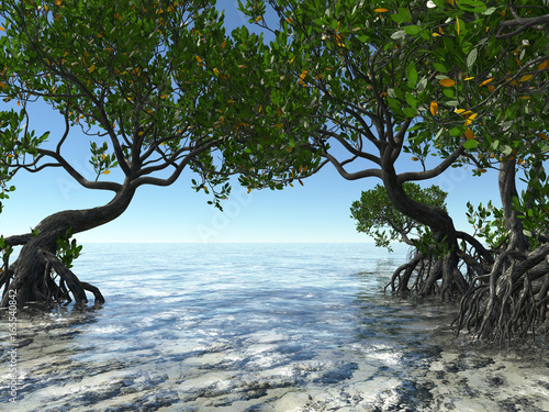 Red mangroves on Florida coast 3d rendering
